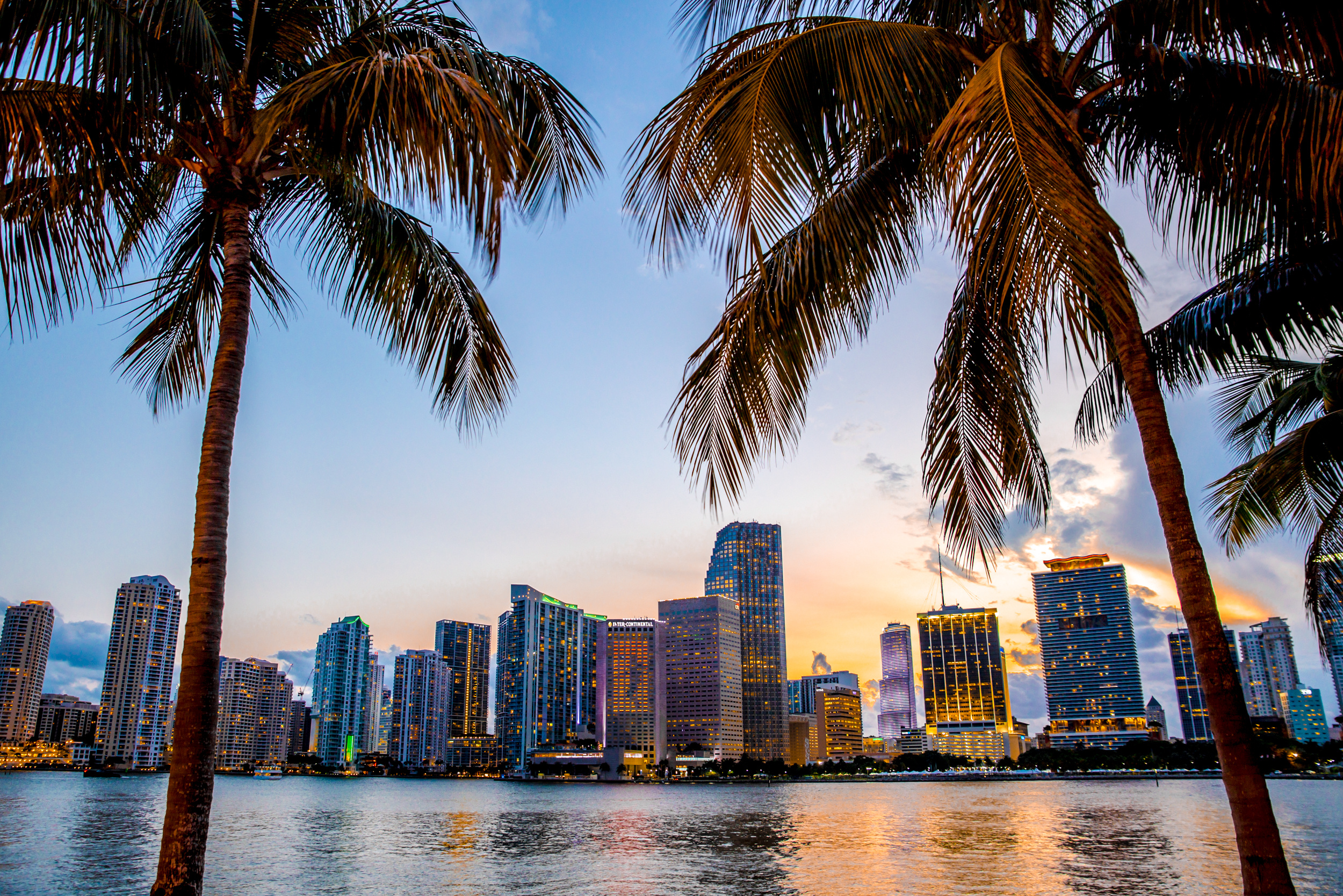 City skyline with high-rise buildings and palm trees at sunset.