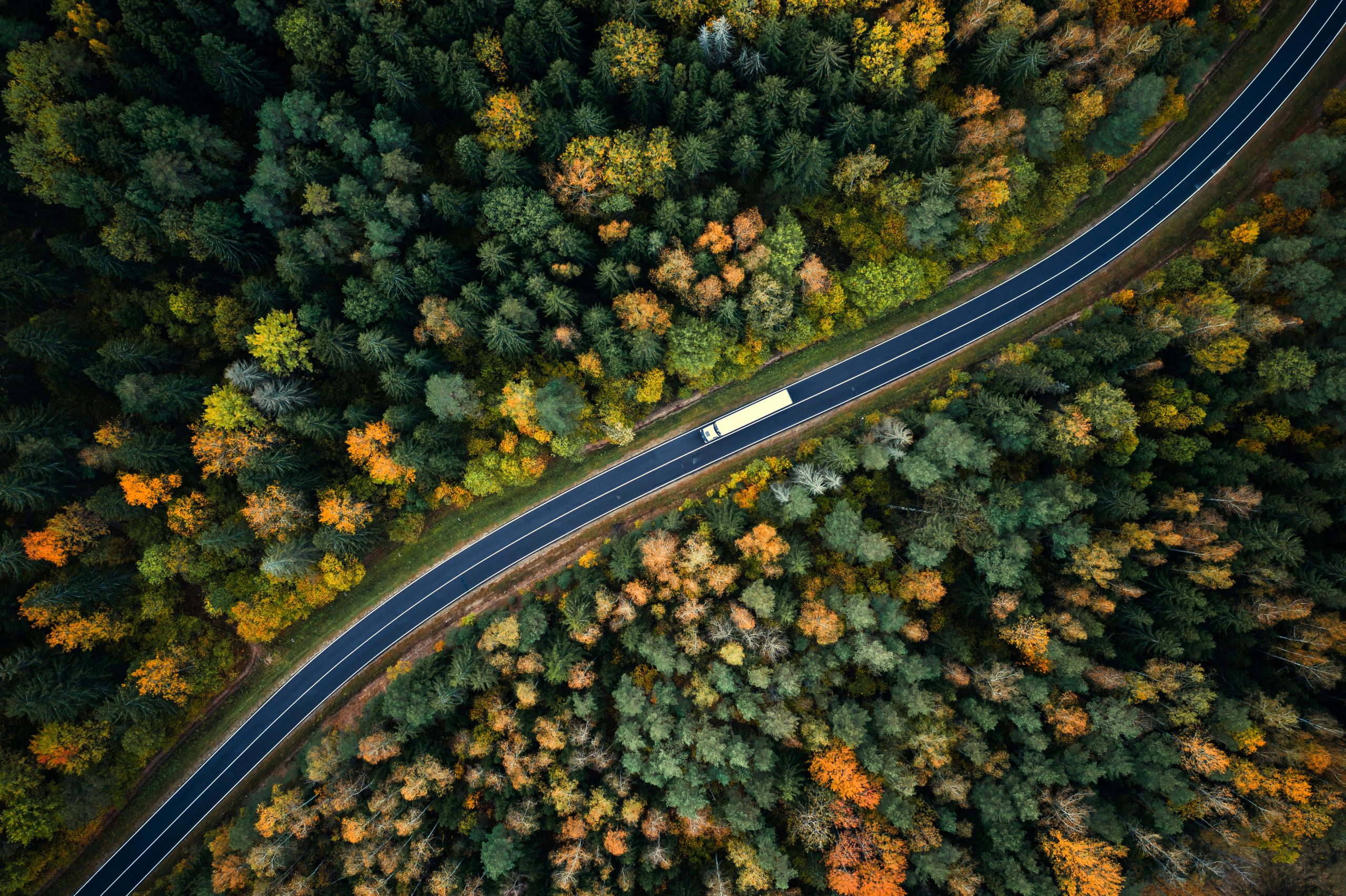 Freight truck traveling through a forested area in autumn.